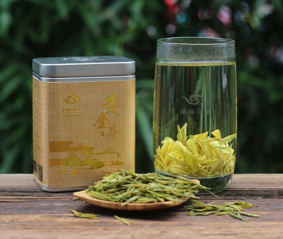 黄金芽属于什么茶,黄金芽属于绿茶还是白茶-第2张图片-翡翠网
