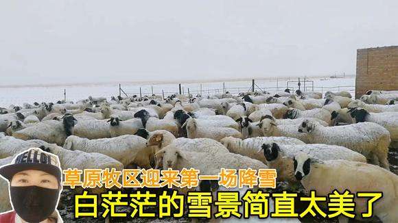 直播全国多地迎来降雪i北京强降雨直播-第1张图片-翡翠网