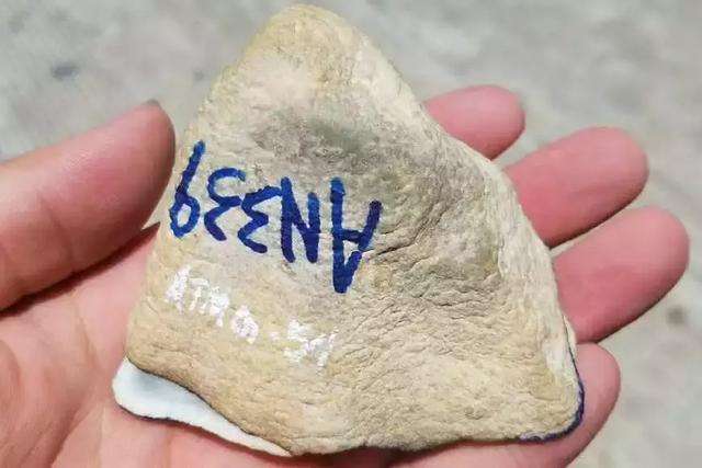 翡翠原石现场切法,翡翠原石切割技巧-第1张图片-翡翠网 翡翠原石现场切法,翡翠原石切割技巧-第1张图片-翡翠网