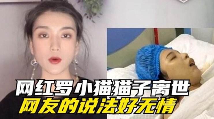 罗小猫喝农药直播网红小猫直播喝农药-第1张图片-翡翠网 罗小猫喝农药直播网红小猫直播喝农药-第1张图片-翡翠网