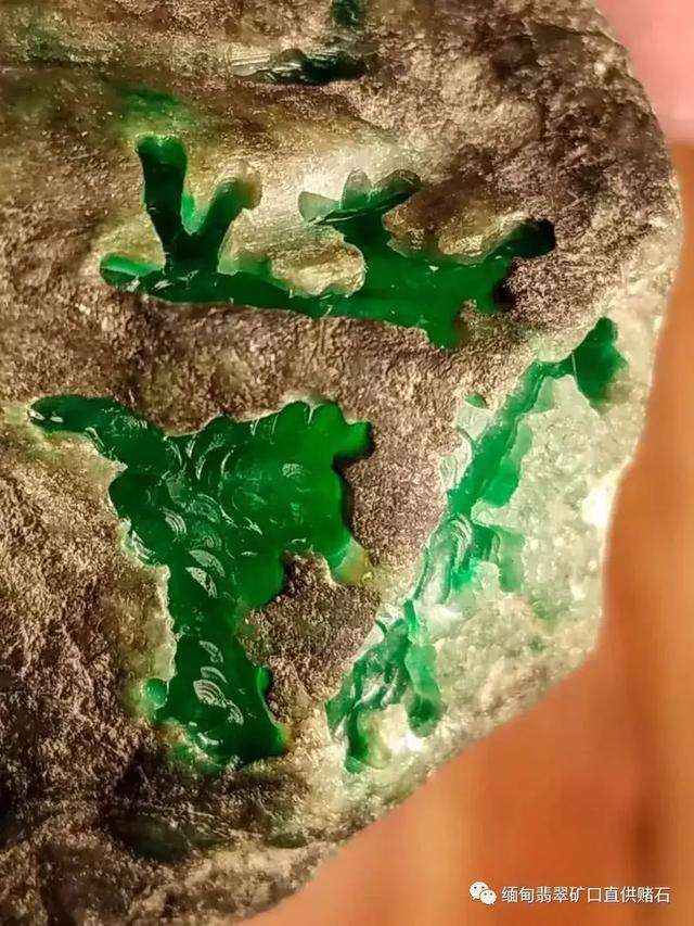 翡翠原石价值,翡翠原石价值评估-第2张图片-翡翠网