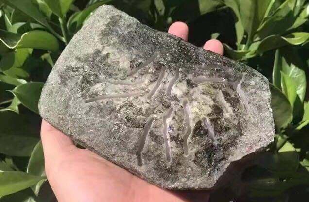 翡翠原石的裂翡翠原石的裂时间久了,会不会愈合-第1张图片-翡翠网 翡翠原石的裂翡翠原石的裂时间久了,会不会愈合-第1张图片-翡翠网