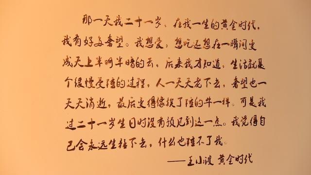 黄金时代王小波完整版,黄金时代王小波无删减免费阅读-第1张图片-趣盘