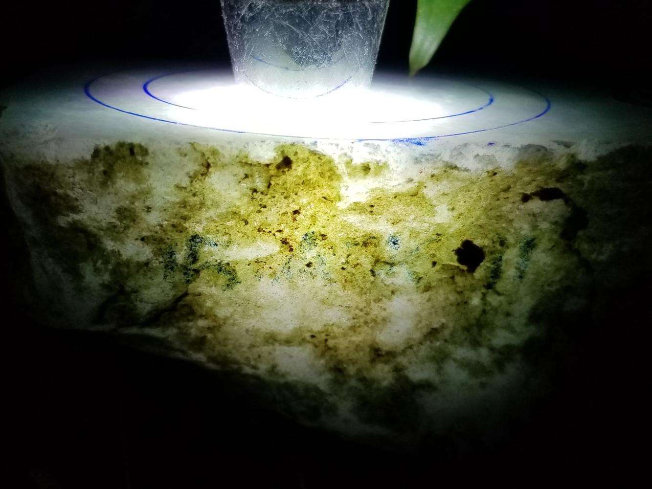 淡春翡翠原石图片淡春翡翠原石-第1张图片-翡翠网