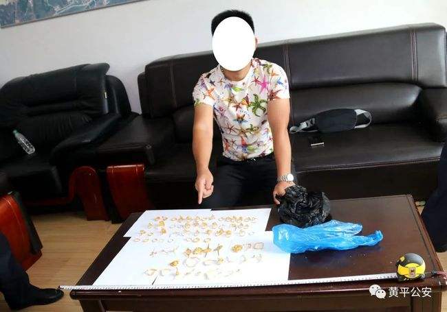 被盗黄金暗藏墙中怎么办,被盗黄金暗藏墙中-第1张图片-翡翠网 被盗黄金暗藏墙中怎么办,被盗黄金暗藏墙中-第1张图片-翡翠网