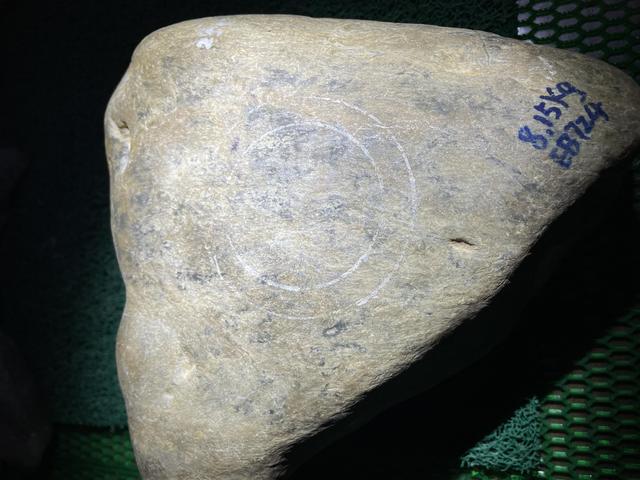 开窗灰绿颜色的帕敢翡翠原石翡翠原石开窗打灯绿色实际不绿-第1张图片-翡翠网