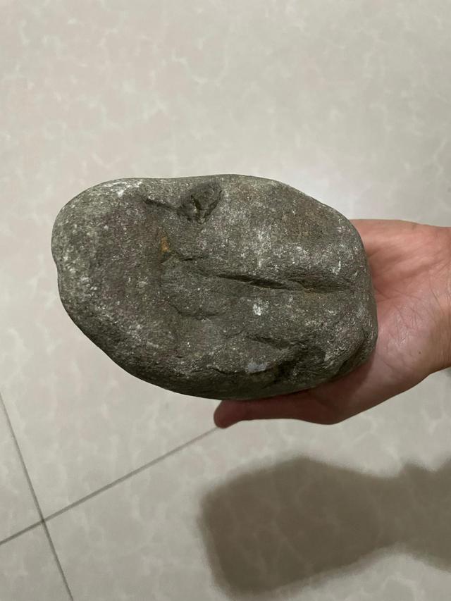 冰种翡翠原石价格行情冰种龙肯翡翠原石-第1张图片-翡翠网 冰种翡翠原石价格行情冰种龙肯翡翠原石-第1张图片-翡翠网