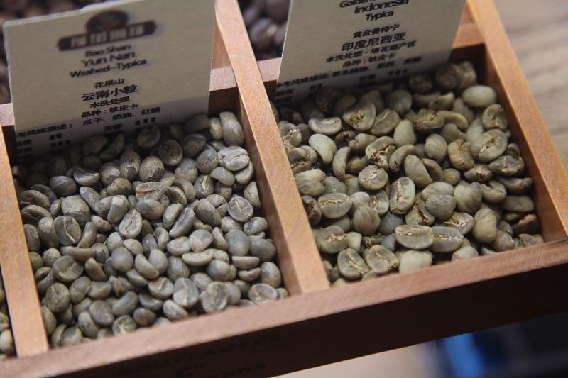 黄金曼特宁手冲参数黄金曼特宁-第1张图片-翡翠网 黄金曼特宁手冲参数黄金曼特宁-第1张图片-翡翠网