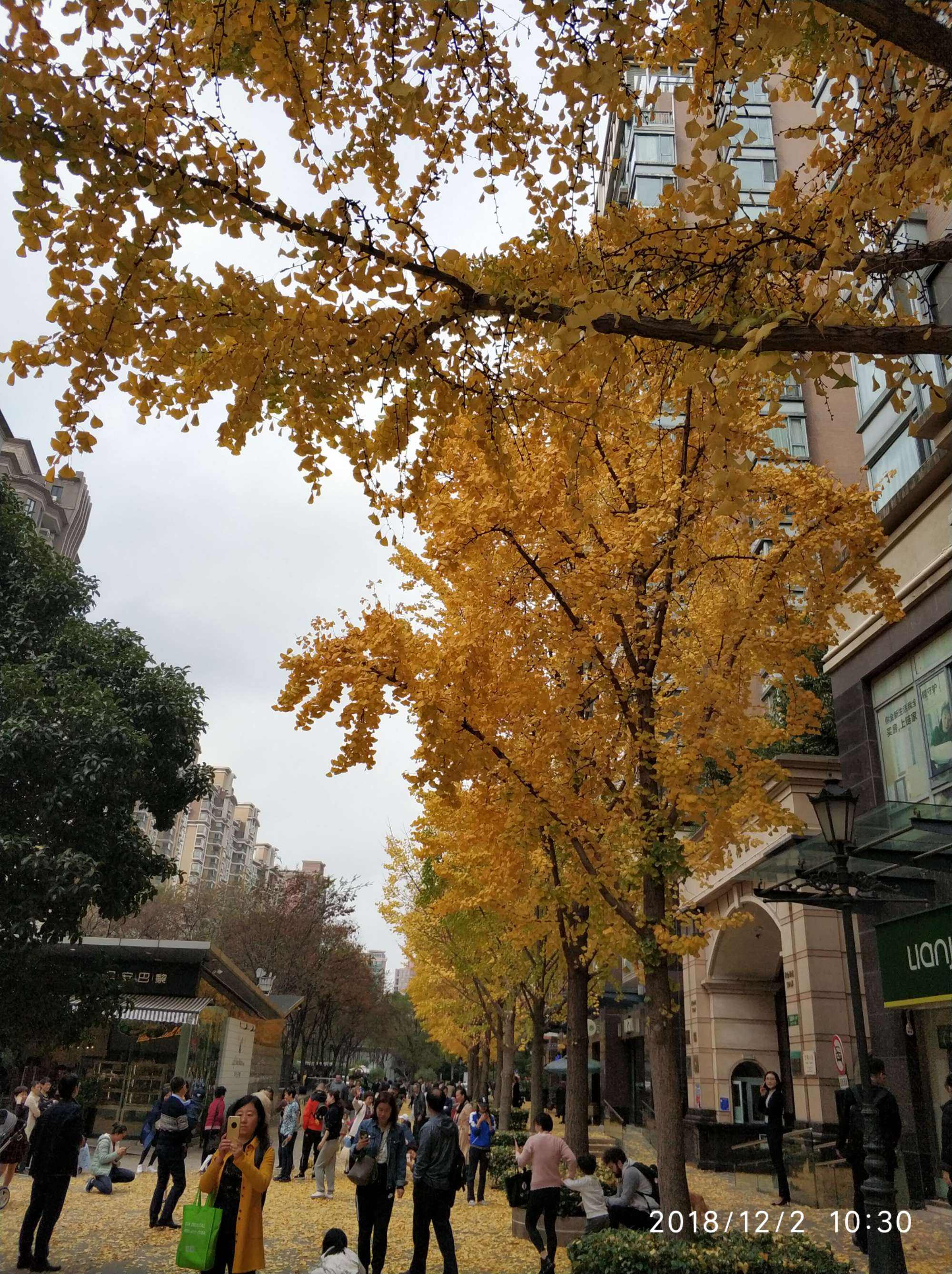 黄金城道,黄金城道房价-第1张图片-翡翠网 黄金城道,黄金城道房价-第1张图片-翡翠网