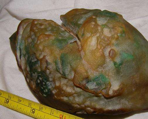 如何识别翡翠原石,如何识别翡翠原石真假-第2张图片-翡翠网 如何识别翡翠原石,如何识别翡翠原石真假-第2张图片-翡翠网