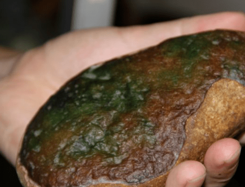 黄河里面有翡翠原石吗,河床有翡翠原石吗-第1张图片-翡翠网 黄河里面有翡翠原石吗,河床有翡翠原石吗-第1张图片-翡翠网