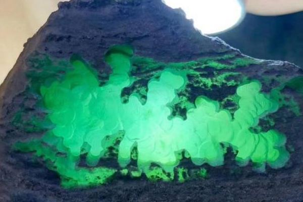 怎么看翡翠原石的种怎么看翡翠原石的种水好和坏-第2张图片-翡翠网 怎么看翡翠原石的种怎么看翡翠原石的种水好和坏-第2张图片-翡翠网