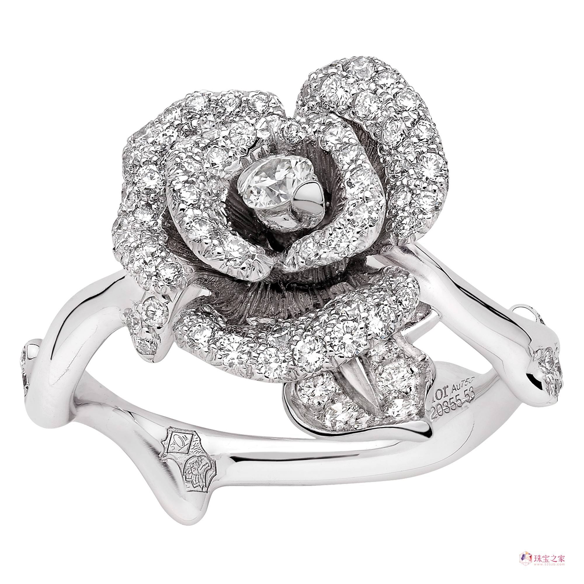 dior珠宝官网,dior手表官网价格-第1张图片-翡翠网