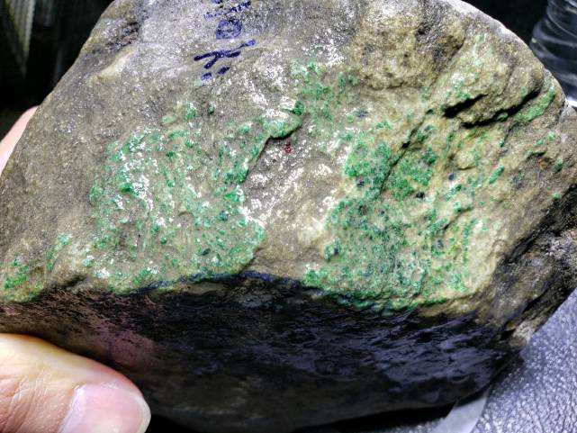 满身绿松花的翡翠原石翡翠原石全身有松花有机会开出绿吗?-第1张图片-翡翠网 满身绿松花的翡翠原石翡翠原石全身有松花有机会开出绿吗?-第1张图片-翡翠网