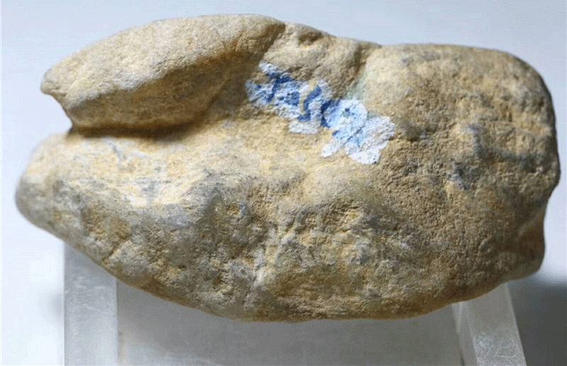 翡翠原石形状图片大全翡翠原石形状图-第2张图片-翡翠网 翡翠原石形状图片大全翡翠原石形状图-第2张图片-翡翠网