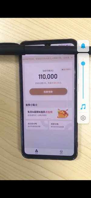 京东金条借款审核需要多少时间京东金条借款第一次审核需要多少时间