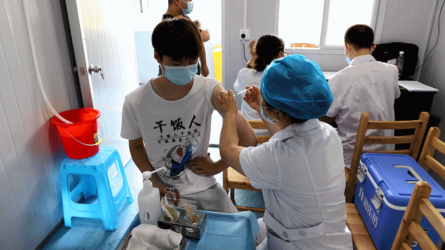 不接种疫苗无法现场看世界杯 小说不接种疫苗无法现场看世界杯-第1张图片-翡翠网