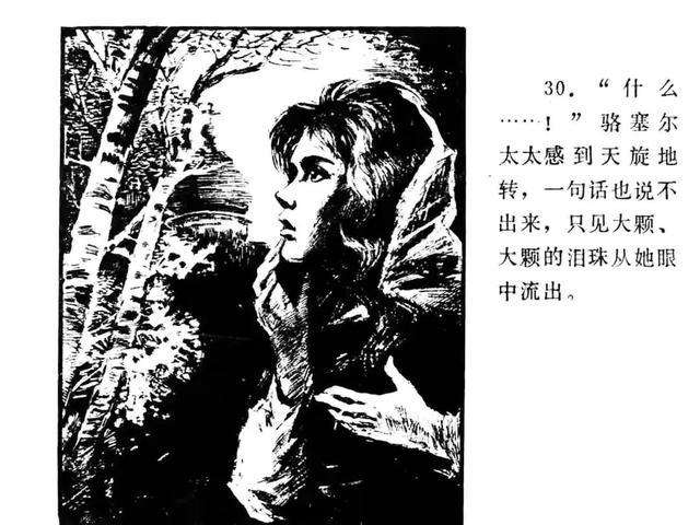 项链的故事情节可以简单概括为?,《项链》的故事情节-第2张图片-翡翠网 项链的故事情节可以简单概括为?,《项链》的故事情节-第2张图片-翡翠网