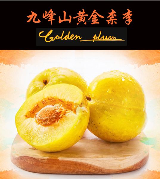 黄金奈李耐寒吗黄金奈李-第1张图片-翡翠网 黄金奈李耐寒吗黄金奈李-第1张图片-翡翠网