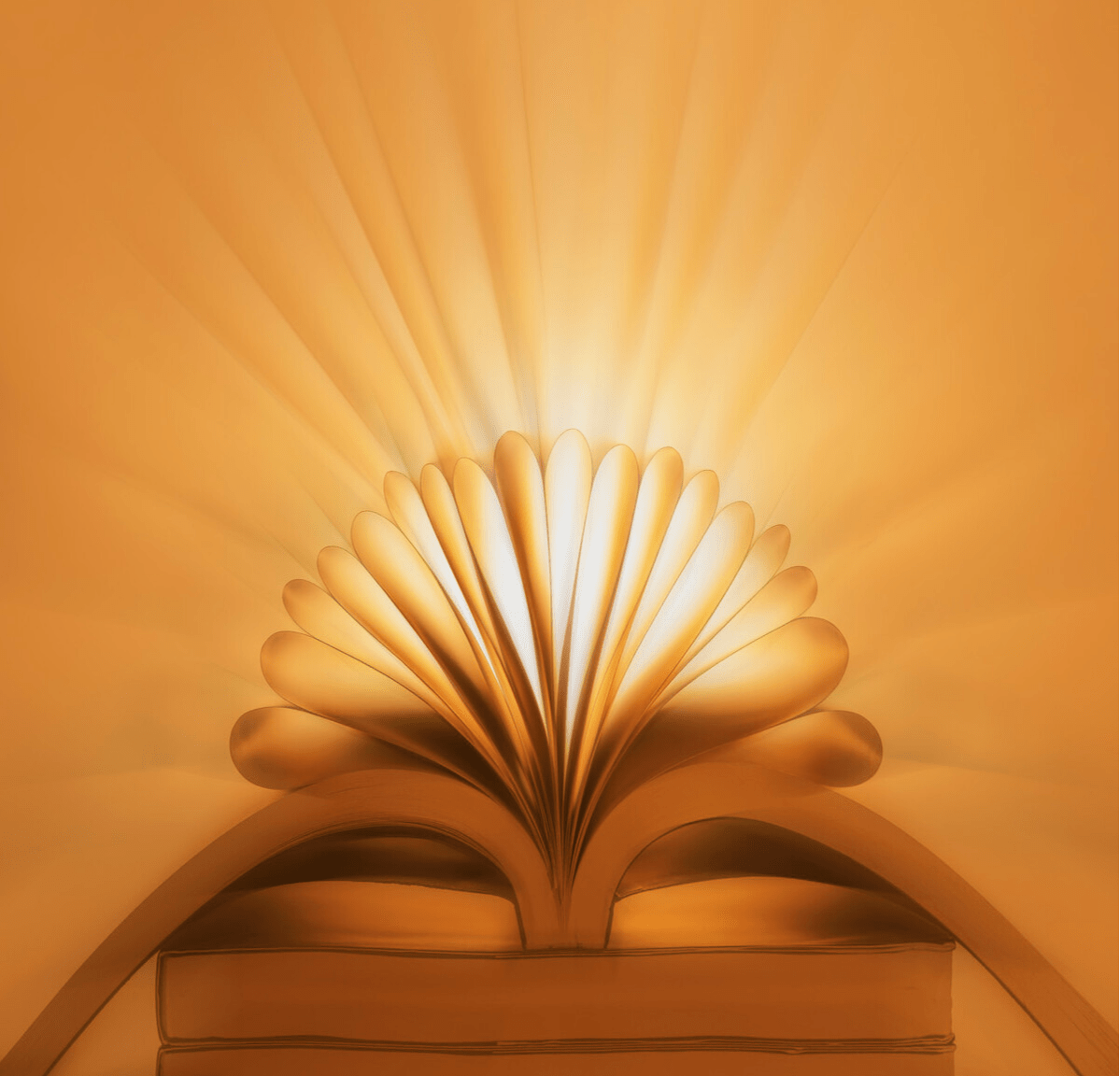 书中自有黄金屋,书中自有颜如玉的意思书中自有黄金屋-第2张图片-翡翠网 书中自有黄金屋,书中自有颜如玉的意思书中自有黄金屋-第2张图片-翡翠网