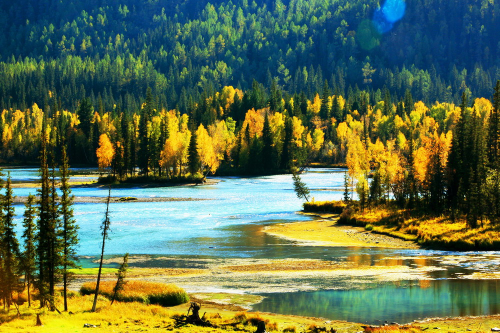 黄金地带黄金地带玉米胚芽油-第1张图片-翡翠网