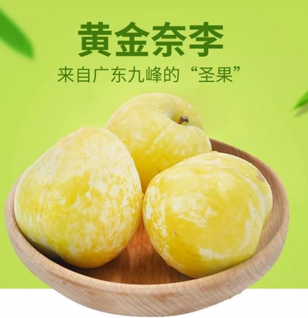 黄金奈李黄金奈李适合种植地区-第1张图片-翡翠网 黄金奈李黄金奈李适合种植地区-第1张图片-翡翠网